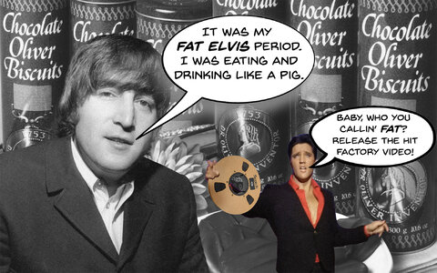 fatelvis.jpg