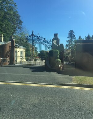 IMG_0243.jpeg