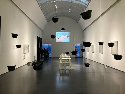 1765414848280.jpeg 1765414848280.jpeg