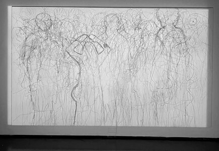 1765415676504.jpeg 1765415676504.jpeg