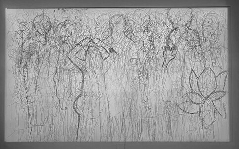 1765415792526.jpeg 1765415792526.jpeg