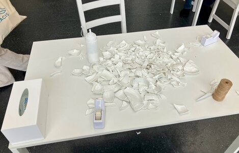 1765417223979.jpeg 1765417223979.jpeg