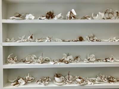 1765417250666.jpeg 1765417250666.jpeg